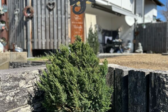Terassenrenovierung